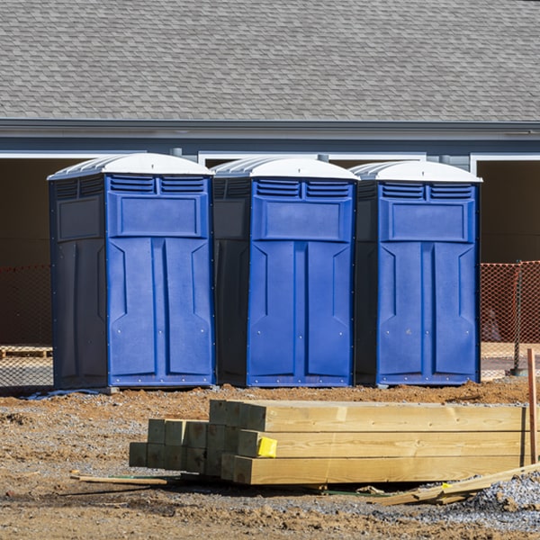 are there different sizes of porta potties available for rent in Dundee Iowa